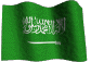 Futbol Arabia Saudita