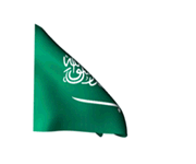 bandera Arabia Saudita