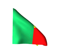 Banderas Benin