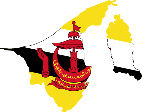 Bandera brunei