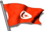 Bandera de Tunez