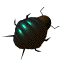 Gif Escarabajo